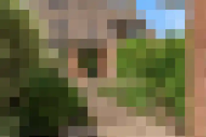 de Hoeve 21 Kamerik thumbnail 26