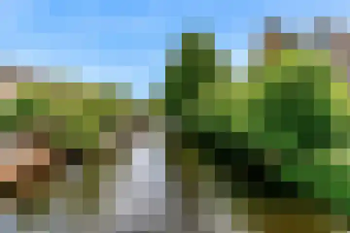 de Hoeve 21 Kamerik thumbnail 32