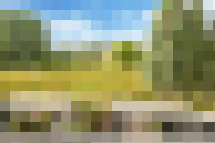 De Hoeve 29 Herveld thumbnail 5