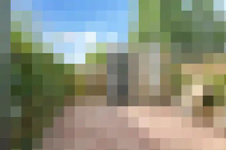 De Hoeve 29 Herveld thumbnail 6