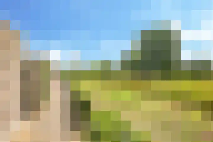 De Hoeve 29 Herveld thumbnail 64