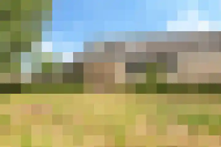 De Hoeve 29 Herveld thumbnail 66