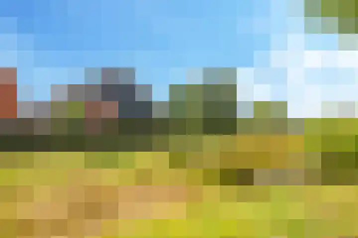 De Hoeve 29 Herveld thumbnail 67