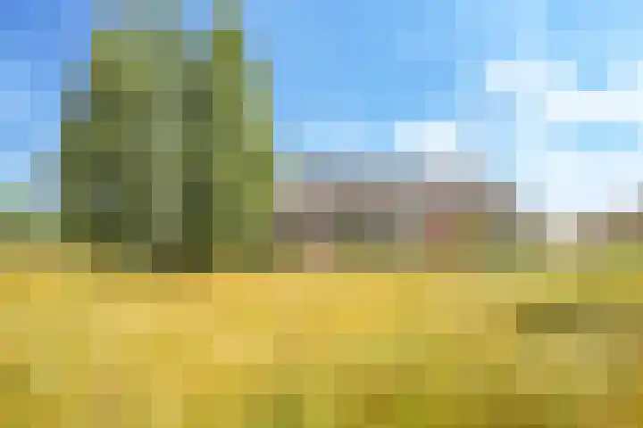 De Hoeve 29 Herveld thumbnail 7