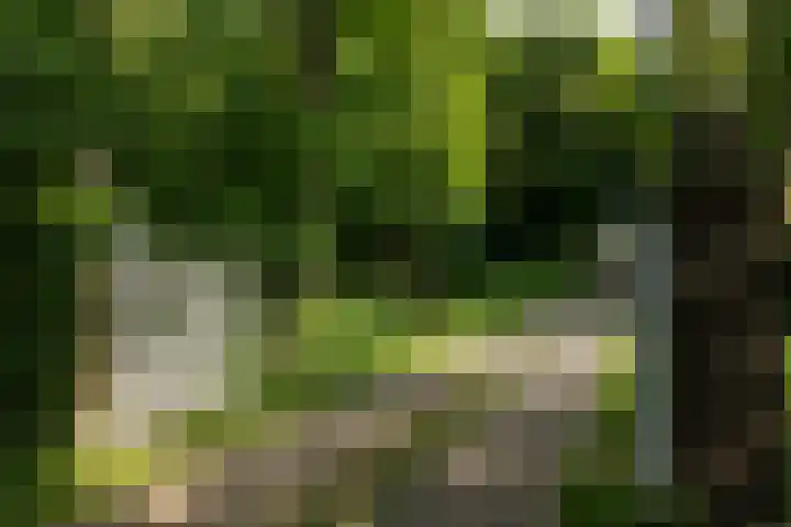 De Hoeve 29 Herveld thumbnail 70