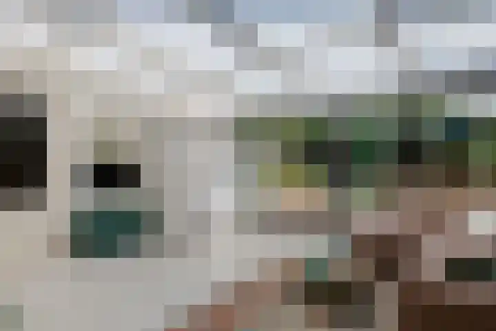 De Hoeven 20 Druten thumbnail 14
