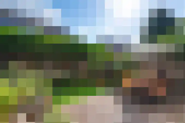 De Hoeven 20 Druten thumbnail 18