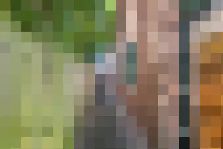 De Hoeven 20 Druten thumbnail 19