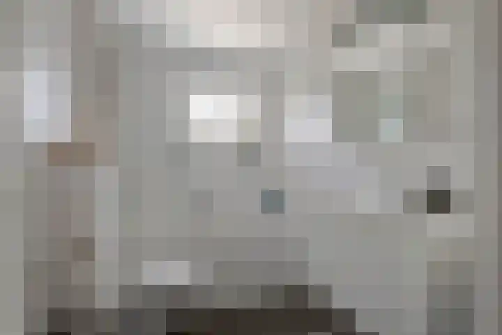 De Hoeven 20 Druten thumbnail 28
