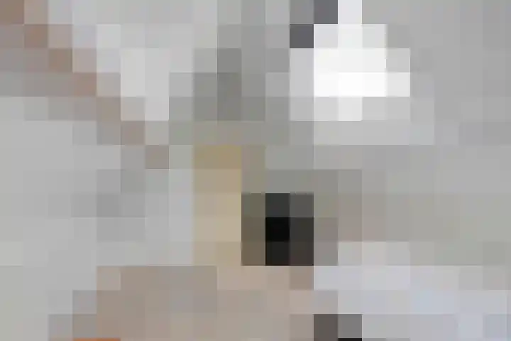 De Hoeven 20 Druten thumbnail 32