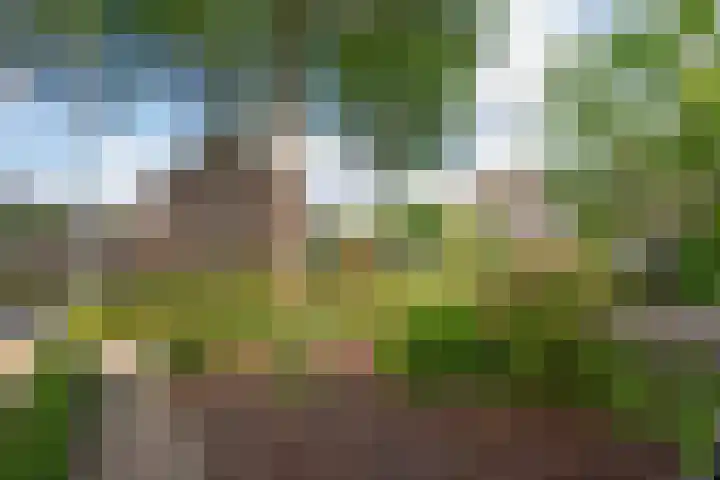 De Hoeven 20 Druten thumbnail 36