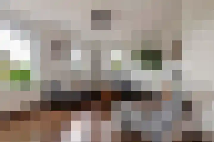 De Hoeven 20 Druten thumbnail 5