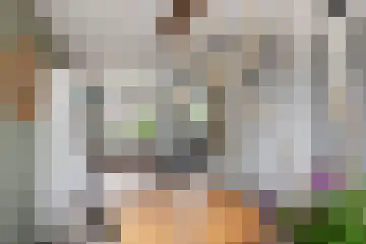 De Hoeven 20 Druten thumbnail 8