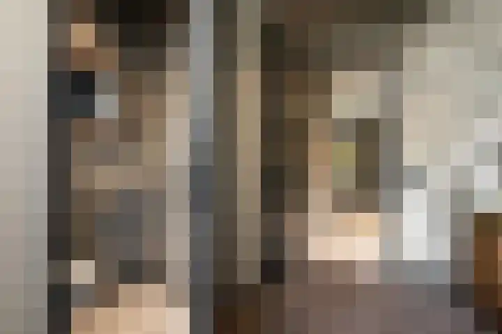 De Hoeven 60 E Haarsteeg thumbnail 12