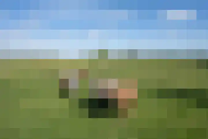 De Hoeven 60 E Haarsteeg thumbnail 17