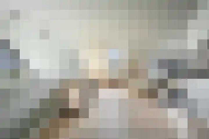 De Hoeven 60 E Haarsteeg thumbnail 19