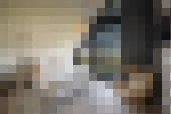 De Hoeven 60 E Haarsteeg thumbnail 21
