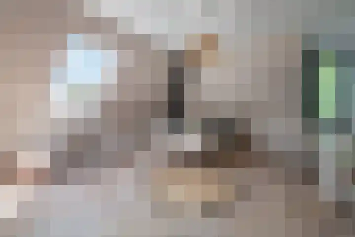 De Hoeven 60 E Haarsteeg thumbnail 27