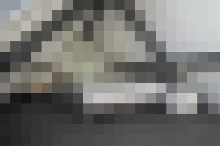 De Hoeven 60 E Haarsteeg thumbnail 45