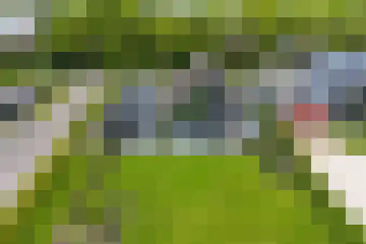 De Hoeven 60 E Haarsteeg thumbnail 57