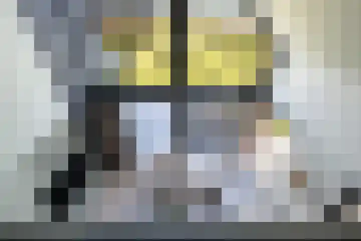 De Hoeven 60 E Haarsteeg thumbnail 6