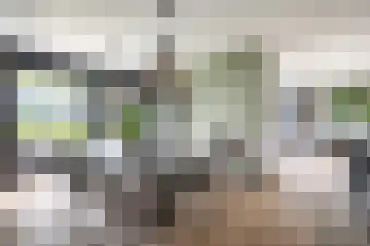 De Hoeven 60 E Haarsteeg thumbnail 9