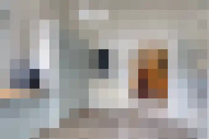 De Hoeven 9 Haarsteeg thumbnail 10