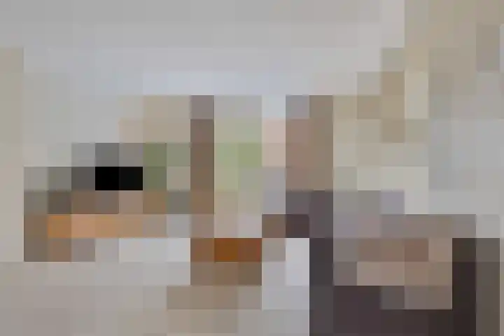 De Hoeven 9 Haarsteeg thumbnail 14