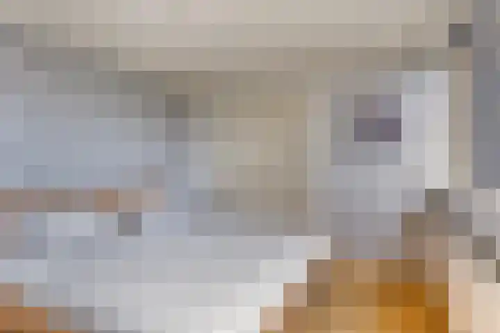 De Hoeven 9 Haarsteeg thumbnail 21
