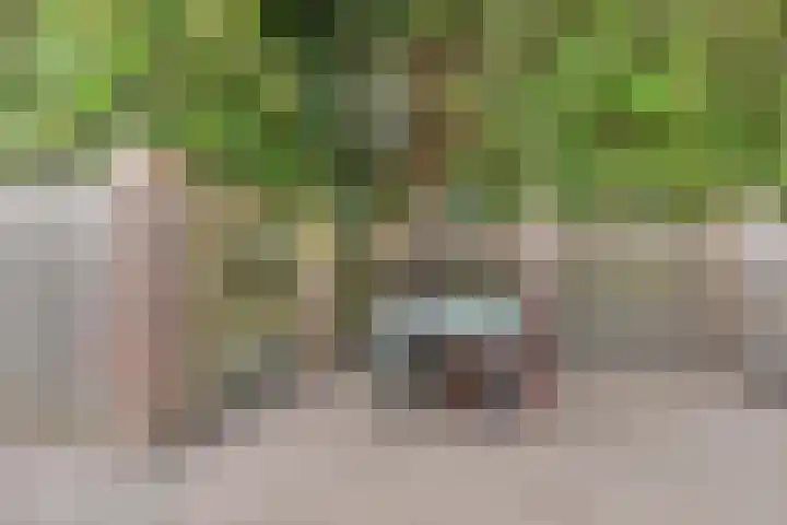 De Hoeven 9 Haarsteeg thumbnail 25