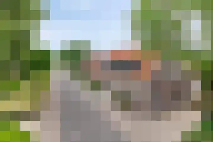 De Hoeven 9 Haarsteeg thumbnail 4