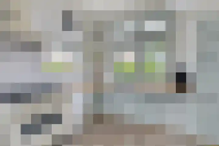 De Hoeven 9 Haarsteeg thumbnail 9
