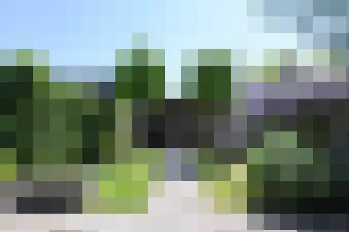 De Hoevens 154 Hooglanderveen thumbnail 13