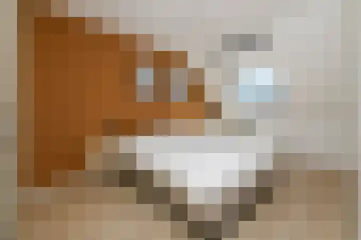 De Hoevens 154 Hooglanderveen thumbnail 17