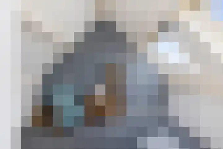 de Hof 23 Almen thumbnail 32