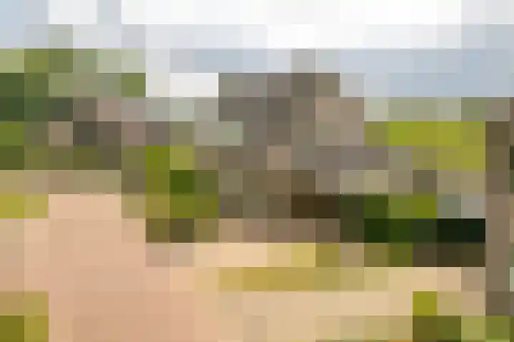 de Hof 23 Almen thumbnail 33