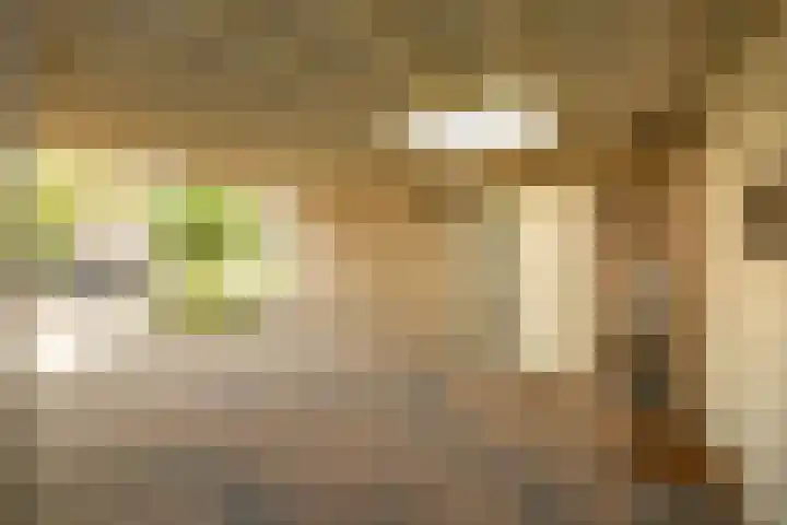 de Hof 23 Almen thumbnail 34
