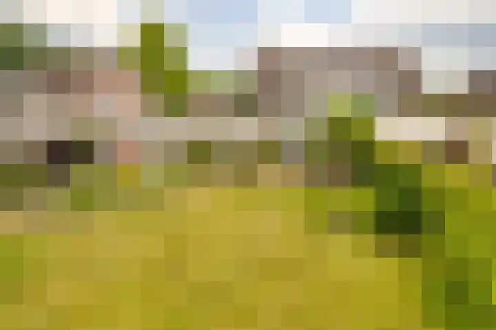 de Hof 23 Almen thumbnail 35