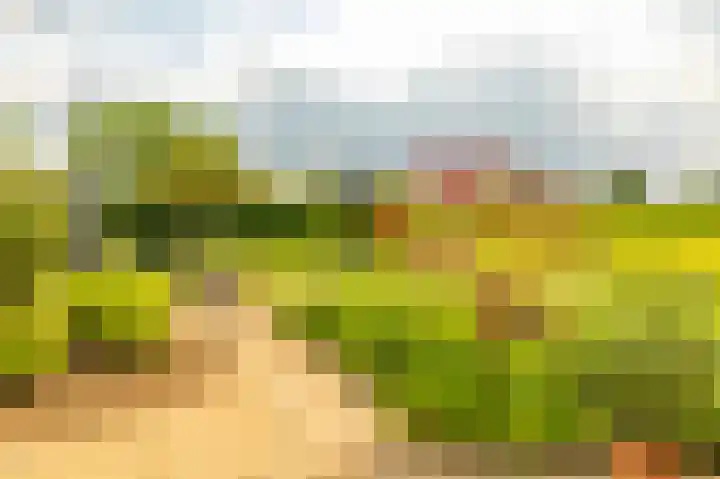 de Hof 23 Almen thumbnail 37