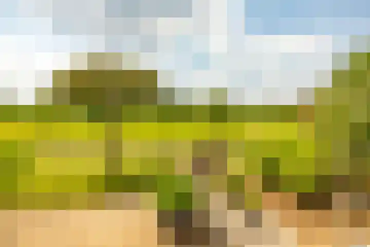 de Hof 23 Almen thumbnail 38