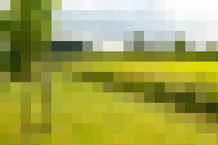 de Hof 23 Almen thumbnail 43