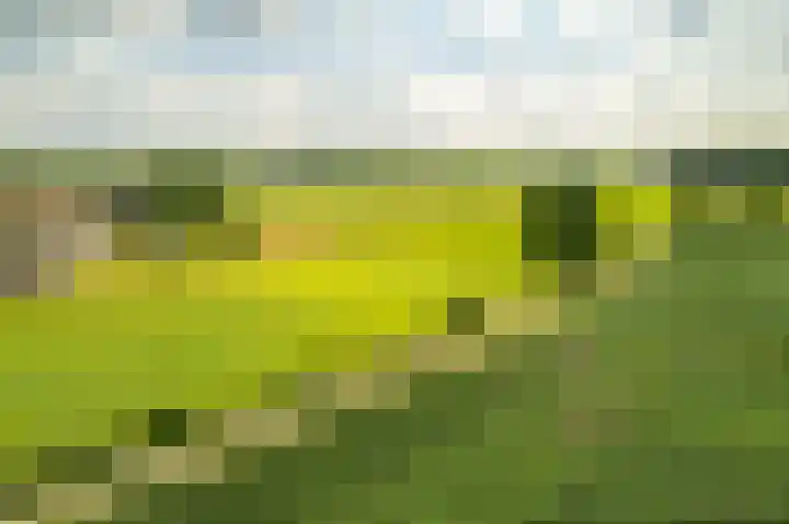 de Hof 23 Almen thumbnail 46