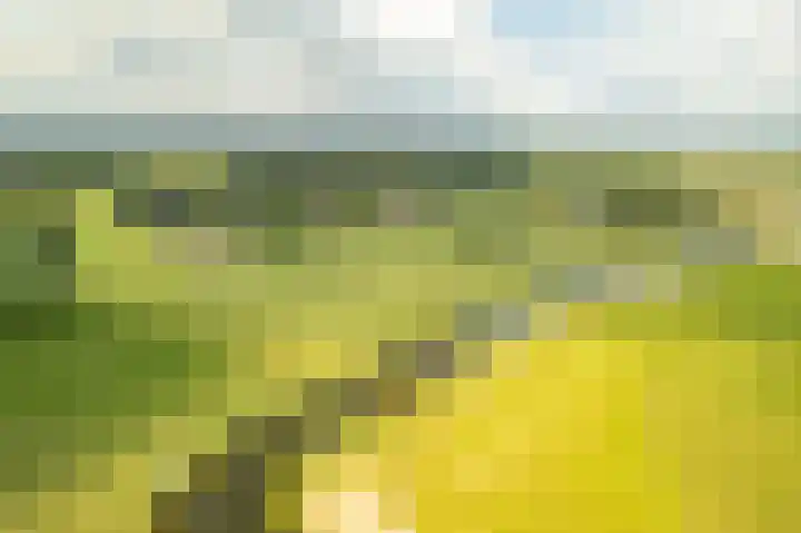de Hof 23 Almen thumbnail 47