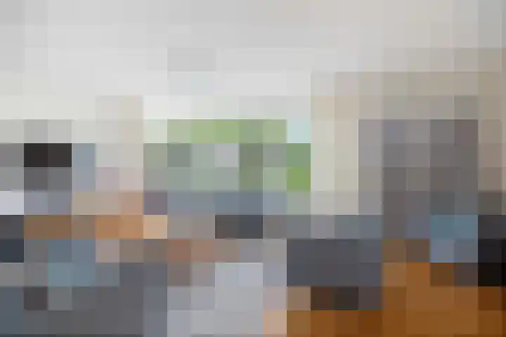 de Hof 23 Almen thumbnail 5
