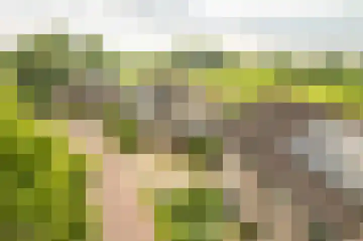 de Hof 23 Almen thumbnail 50