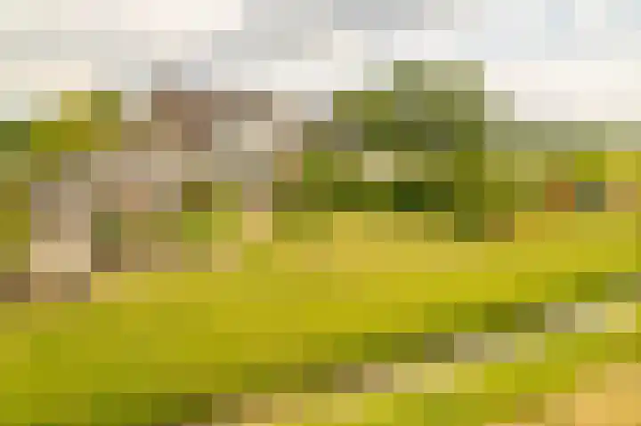 de Hof 23 Almen thumbnail 57