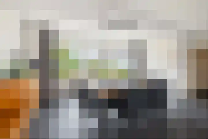 de Hof 23 Almen thumbnail 9