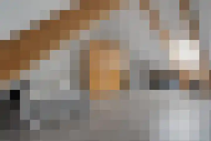De Hof 7 Geesteren thumbnail 17
