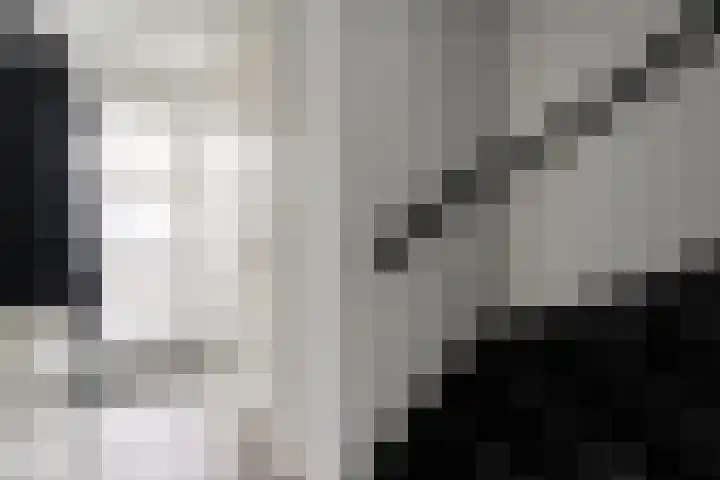 De Hof 7 Geesteren thumbnail 5