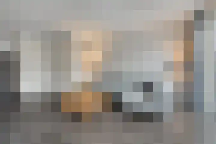 De Hof 7 Geesteren thumbnail 8